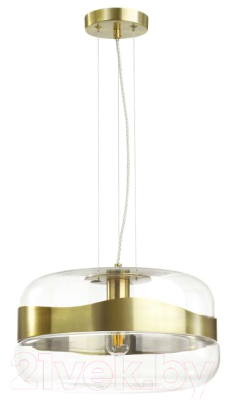 

Потолочный светильник Odeon Light, Apile 4813/1A