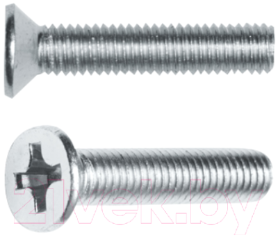 

Винт Starfix, SMC1-105975-100