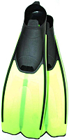 

Ласты, F41JR