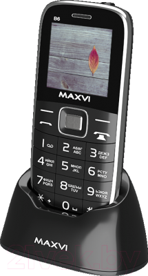 Мобильный телефон Maxvi B6 (черный)