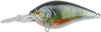

Воблер SPRO, Ikiru Crank-Ll Sfl Green Perch / 004373-00102