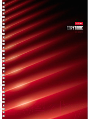 

Тетрадь Hatber, Red / 120Тт4В1гр-20864