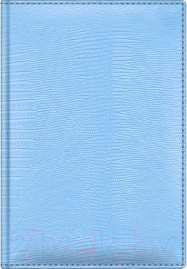 Ежедневник Hatber Ляссе Tijus Uguana / 176Ед6 03625 (голубой)