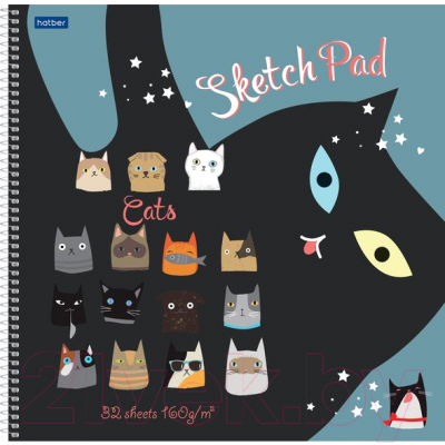 Скетчбук Hatber SketchBook. CATs / 32Т3лAпс-21041