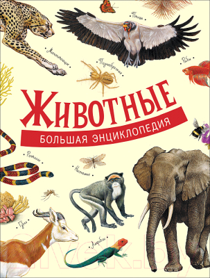 

Энциклопедия Росмэн, Животные. Большая энциклопедия