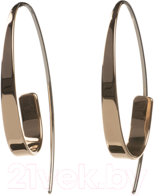 

Серьги Skagen, SKJ1213998