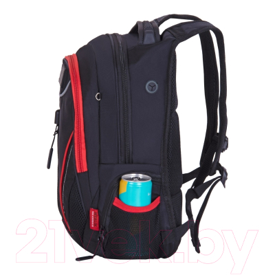 Школьный рюкзак Merlin ACR20-137-1