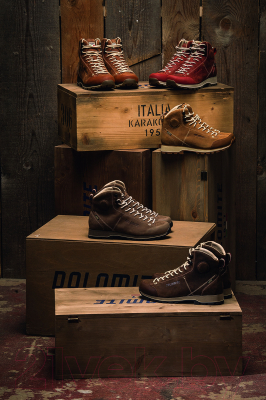 Трекинговые ботинки Dolomite W's 54 High Fg GTX / 268009-0910 (р-р 5, Burgundy Red)