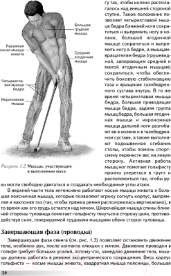 Книга Попурри Анатомия гольфа (Дэвис К., Сайя В.)