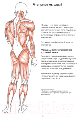 Книга Попурри Анатомия йоги: как работают мышцы (Кале-Жермен Б.)