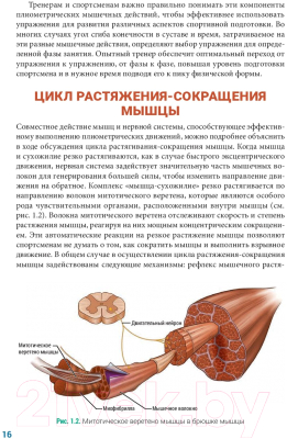 Книга Попурри Анатомия плиометрики (Хансен Д., Кеннели С.)