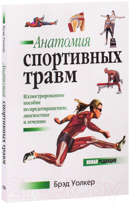 Книга Попурри Анатомия спортивных травм (Уолкер Б.)