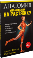 Книга Попурри Анатомия упражнений на растяжку (Нельсон А., Кокконен Ю.) - 