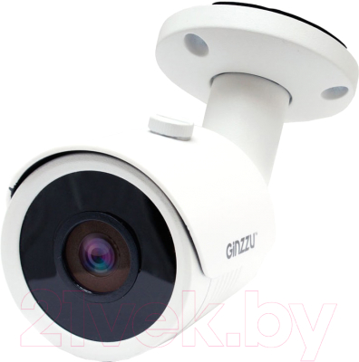 IP-камера Ginzzu HIB-5302A