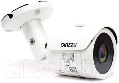 IP-камера Ginzzu HIB-5302A