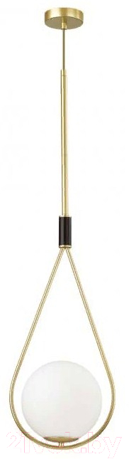 Потолочный светильник Odeon Light Flari 4810/1A