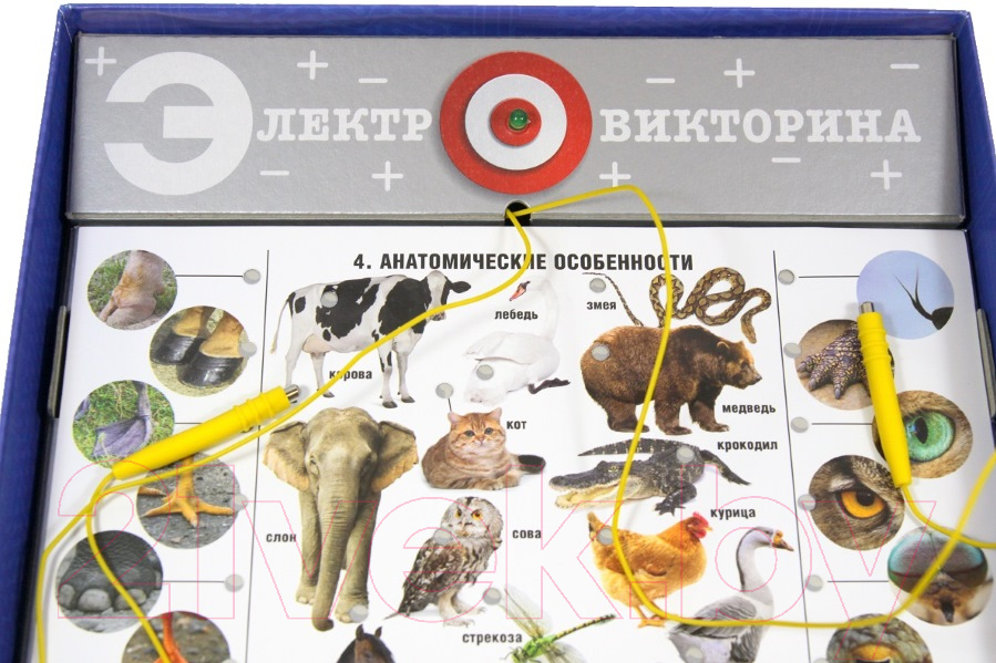 Развивающая игра Десятое королевство Электровикторина. Живая природа / 02813 — фото 3