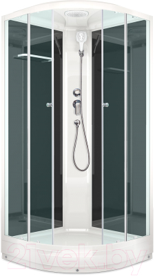 

Душевая кабина Domani-Spa, Delight 110 / DS01D110LBCl00
