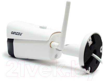 IP-камера Ginzzu HWB-5301A