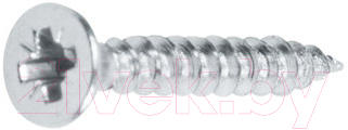 Шуруп Starfix SMC1-57596-1000