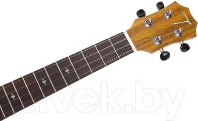 Изображение товара Укулеле Tom TUT-700 (с чехлом)