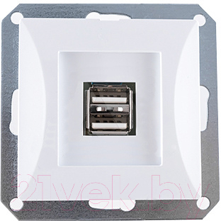 Розетка TIMEX Opal OPBL-USB2 (белый)