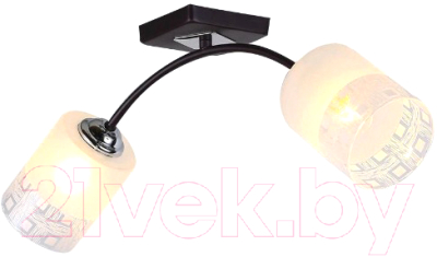 

Потолочный светильник HIPER, H010-2