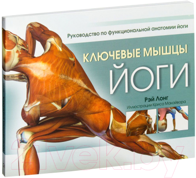 

Книга Попурри, Ключевые мышцы йоги