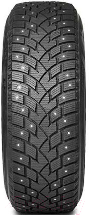 Зимняя шина Delinte Winter WD42 235/65R16C 121/119R