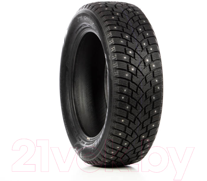 Зимняя шина Delinte Winter WD42 235/65R16C 121/119R