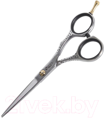 Ножницы парикмахерские Sergio Professional AE01-55