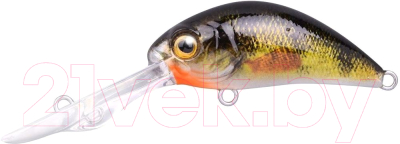 

Воблер SPRO, Ikiru Baby Crank-DD FL Y-Perch / 004373-00203
