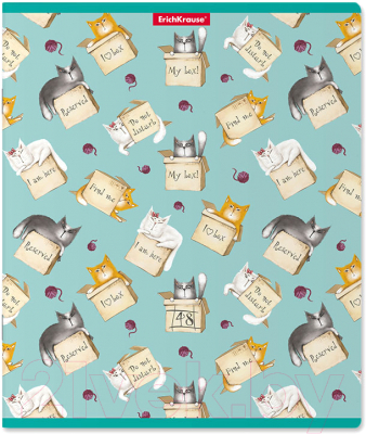 

Тетрадь Erich Krause, Cat & Box / 49609