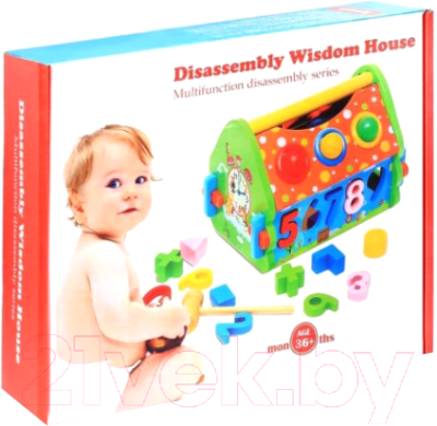 

Развивающая игрушка Toys, 277A-2879