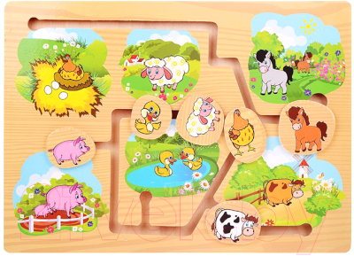 

Развивающая игрушка Toys, 277A-2758