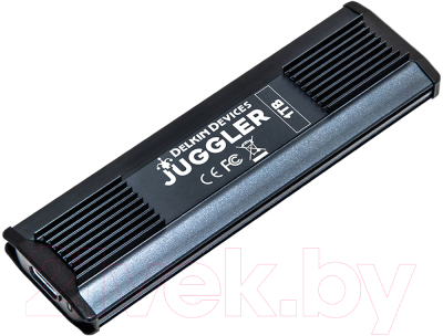 Внешний жесткий диск Delkin Devices Juggler 1TB USB 3.1 Gen 2 Type-C SSD (DJUGBM1TB)