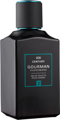 Туалетная вода с феромонами Gourman №2 for Men (100мл)
