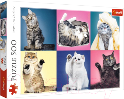 

Пазл Trefl, Котята / 37377