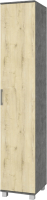 

Шкаф-пенал, Карина К11