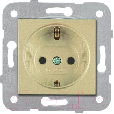 Изображение товара Розетка Panasonic Plus WKTT02022BR-BY