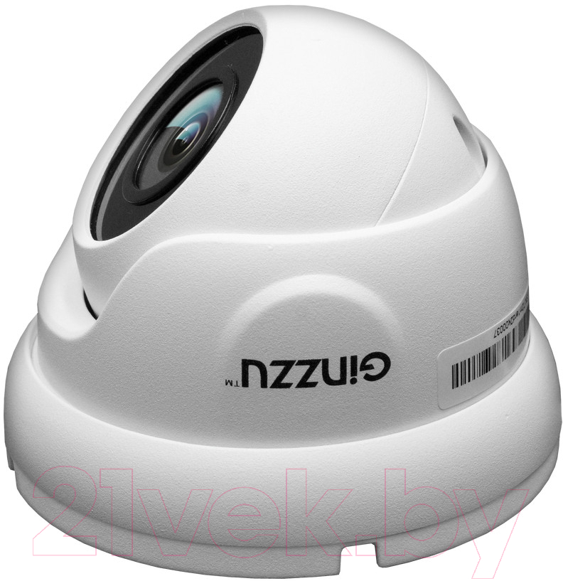 IP-камера Ginzzu HID-2302A