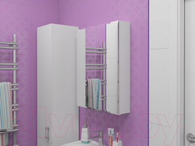 Шкаф с зеркалом для ванной Какса-А Лайт 60 / 460687