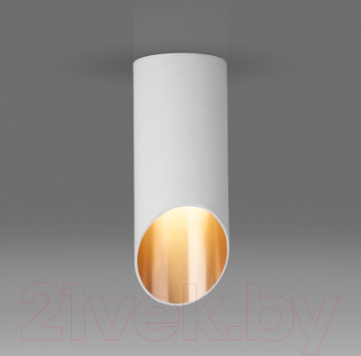 Точечный светильник Elektrostandard DLN114 GU10 (белый/золото)