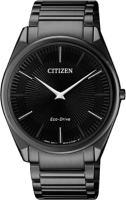 

Часы наручные мужские Citizen, AR3079-85E