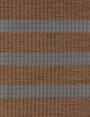 Рулонная штора Delfa Сантайм День-Ночь Бамбук МКД DN-42905 (34x160, мокка)