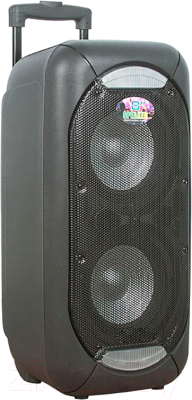 

Портативная колонка Eltronic, BOOMBOX25ch