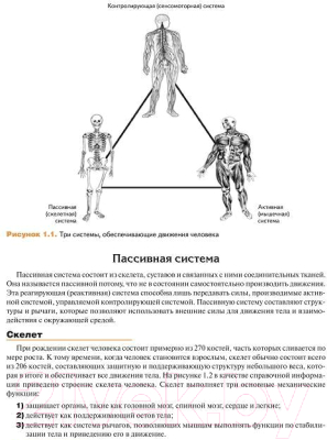 Книга Попурри Мышечная механика (Ааберг Э.)