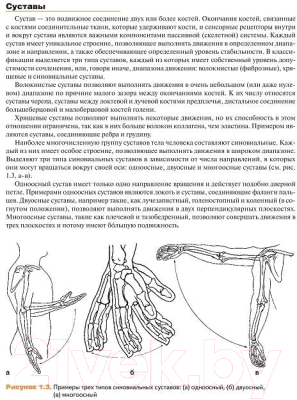 Книга Попурри Мышечная механика (Ааберг Э.)