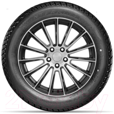 Зимняя шина DoubleStar DW01 225/55R18 98T (шипы)