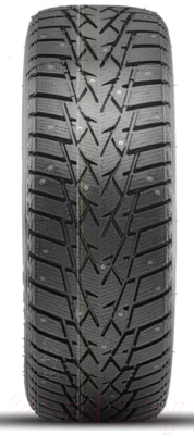 Зимняя шина DoubleStar DW01 225/55R18 98T (шипы)